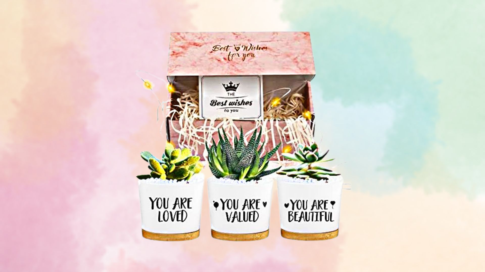 You Are Loved You Are Valued You Are Beautiful Succulent Pots